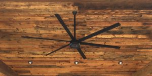 How Many Blades Should a Ceiling Fan Have? [3 vs 4 vs 5-Blade]